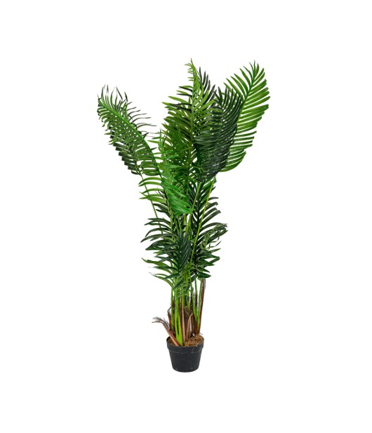 Μεσαίου Μεγέθους Γλάστρα Bamboo 1.5 m Μεσαίου Μεγέθους Γλάστρα Bamboo 1.5 m