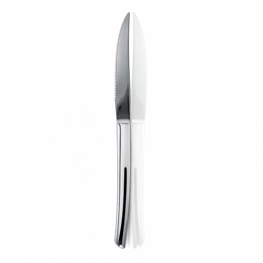 Inox Μαχαίρι Φαγητού Για Κρέας 2x0.5x23 cm Μαχαιροπίρουνα