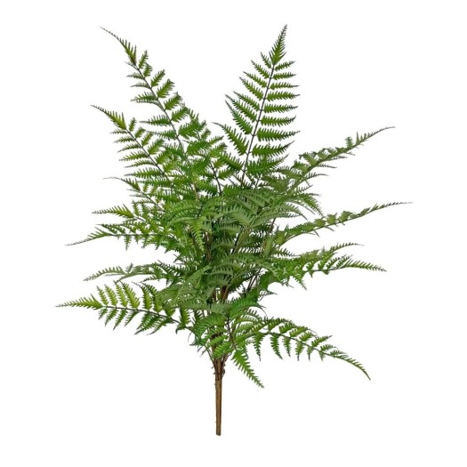 Decorative Fern 80 cm Decorative Fern 80 cm Plants & Flowers