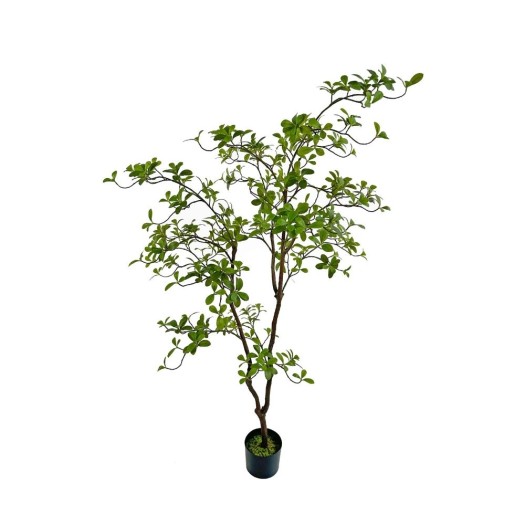 Decorative Ficus Tree 2.25 m Decorative Ficus Tree 2.25 m Plants & Flowers