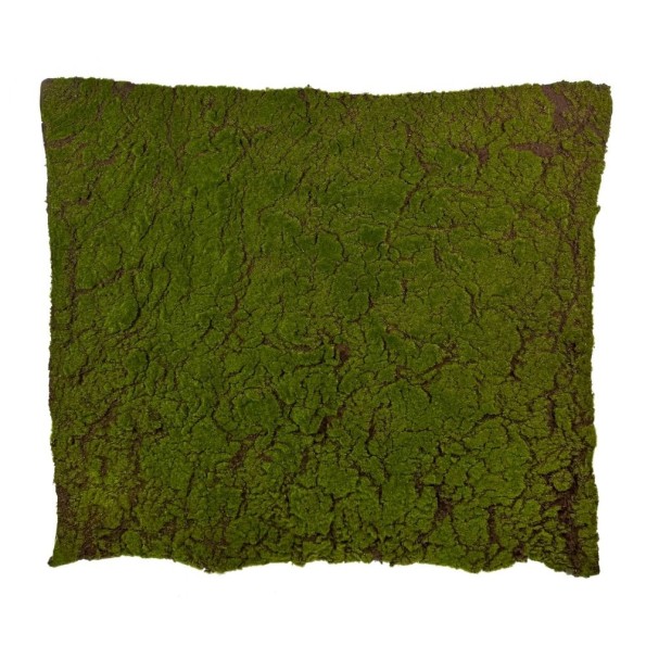 Διακοσμητικό Χαλί Βρύων 100x100 cm Carpets & Kilims