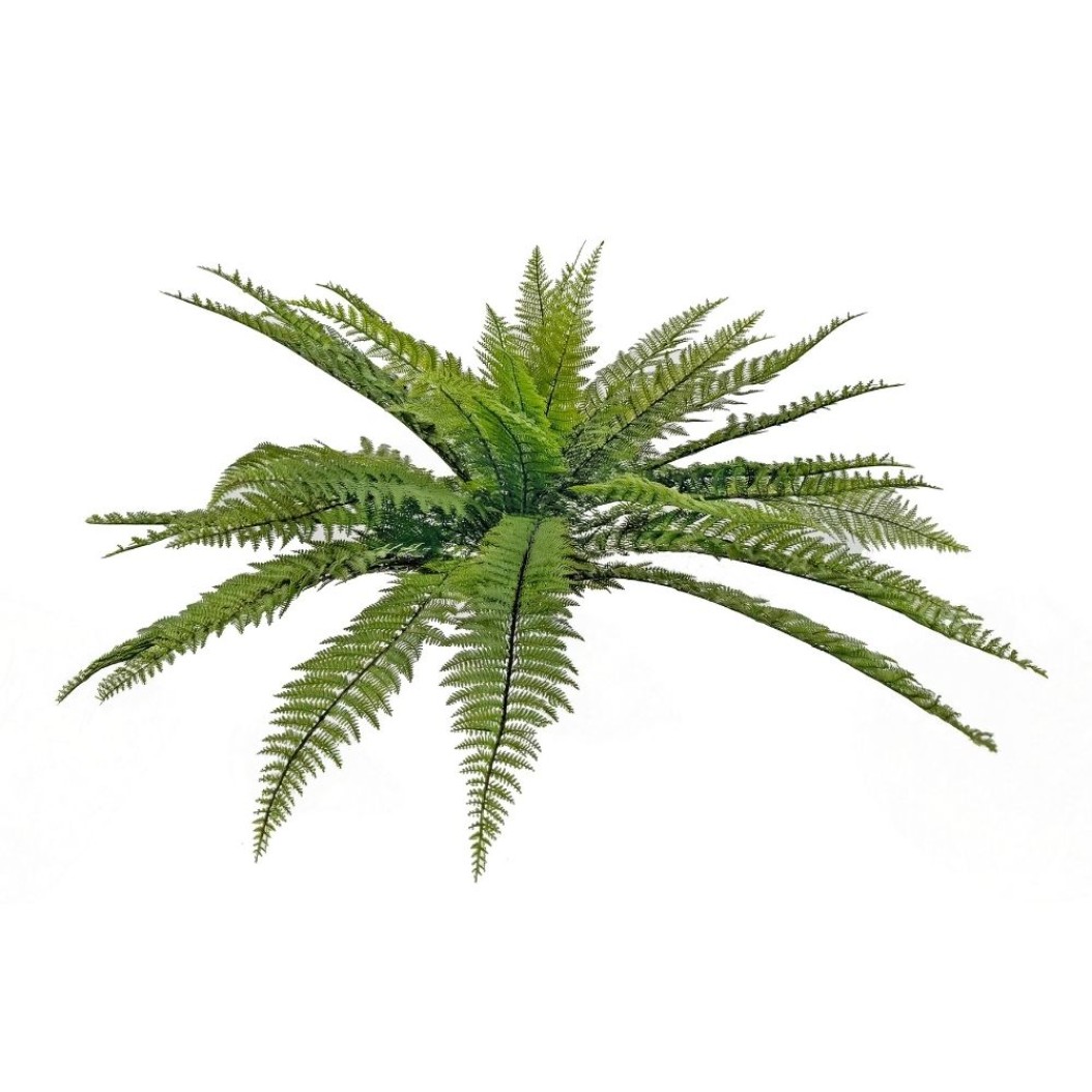 Decorative Fern 75 cm Plants & Flowers Decorative Fern 75 cm Plants & Flowers
