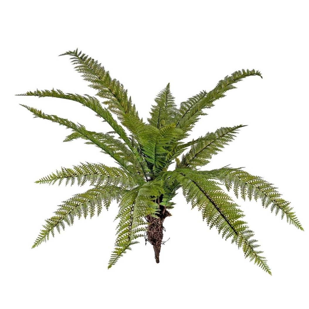 Decorative Fern 100 cm Plants & Flowers Decorative Fern 100 cm Plants & Flowers