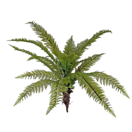 Decorative Fern 100 cm Decorative Fern 100 cm Plants & Flowers