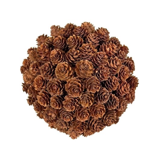 Διακοσμητική Χριστουγεννιάτικη Μπάλα Από Κώνους Πεύκου Larix 20 cm Διακοσμητική Χριστουγεννιάτικη Μπάλα Από Κώνους Πεύκου Larix 20 cm Χριστουγεννιάτικες Μπάλες