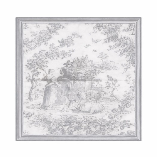 Βαμβακερή Πετσέτα Φαγητού Με Σχέδιο Toile De Jouy 45x45 cm Σε Γκρι Χρώμα Βαμβακερή Πετσέτα Φαγητού Με Σχέδιο Toile De Jouy 45x45 cm Σε Γκρι Χρώμα Homeware