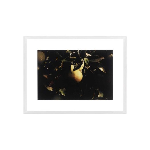 Διακοσμητικός Πίνακας Citrus Limon 95x6x75 cm Πίνακες