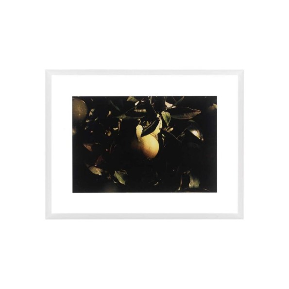 Διακοσμητικός Πίνακας Citrus Limon 95x6x75 cm Πίνακες Διακοσμητικός Πίνακας Citrus Limon 95x6x75 cm Πίνακες