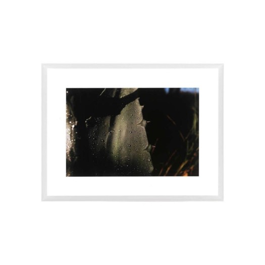 Διακοσμητικός Πίνακας Agave Leaf 95x6x75 cm Πίνακες